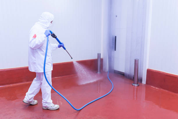 Best Restaurant Pressure Washing  in Capac, MI