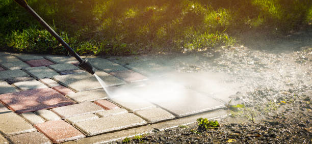 Best Fence Cleaning  in Capac, MI
