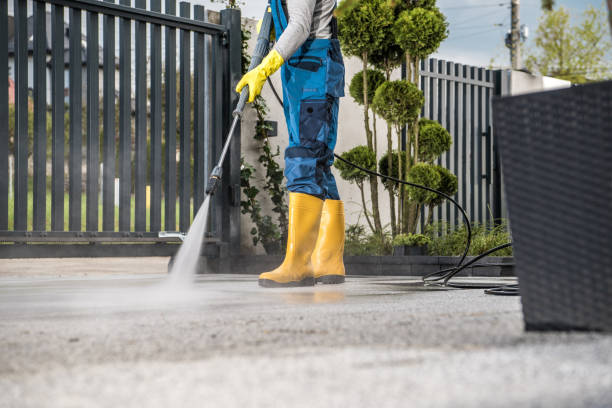 Best Pool Deck Cleaning  in Capac, MI